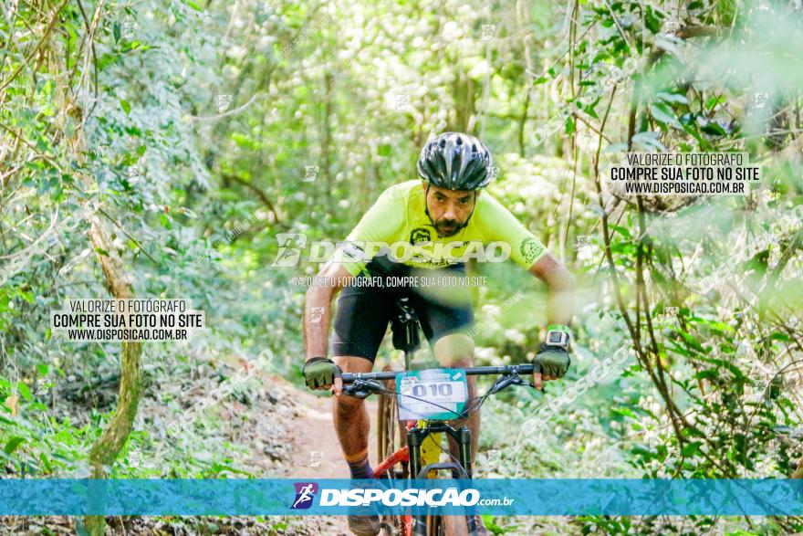 Circuito AEJ MTB 2023