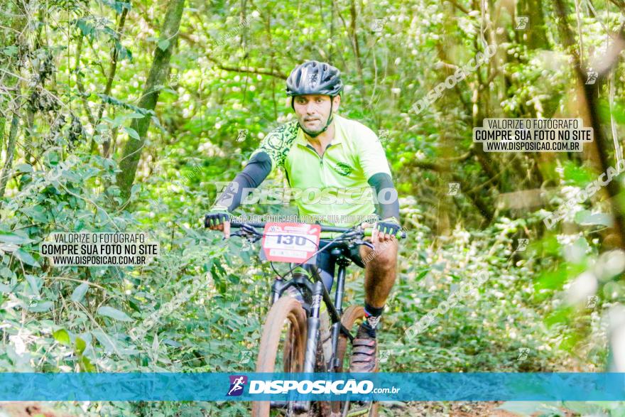 Circuito AEJ MTB 2023