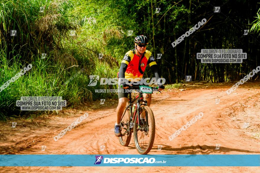 Circuito AEJ MTB 2023