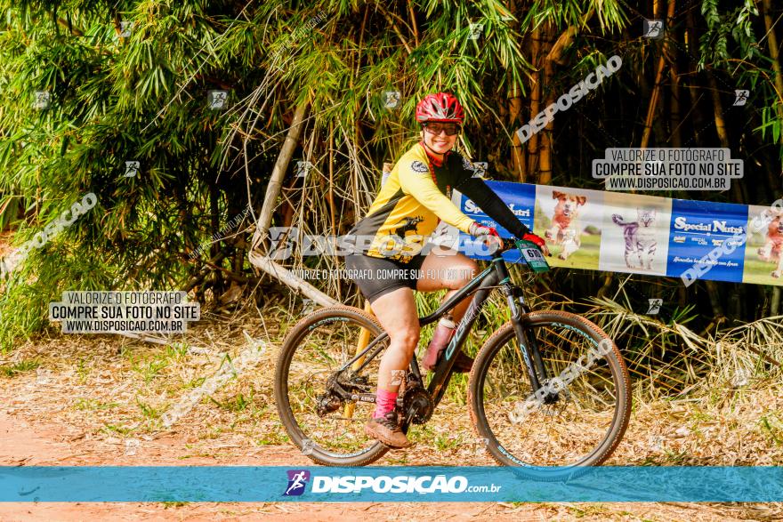 Circuito AEJ MTB 2023