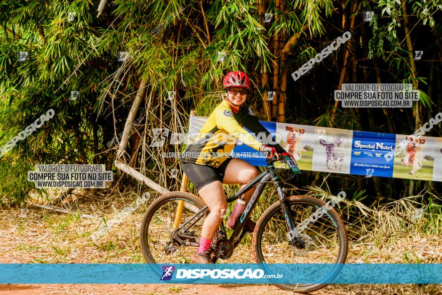 Circuito AEJ MTB 2023