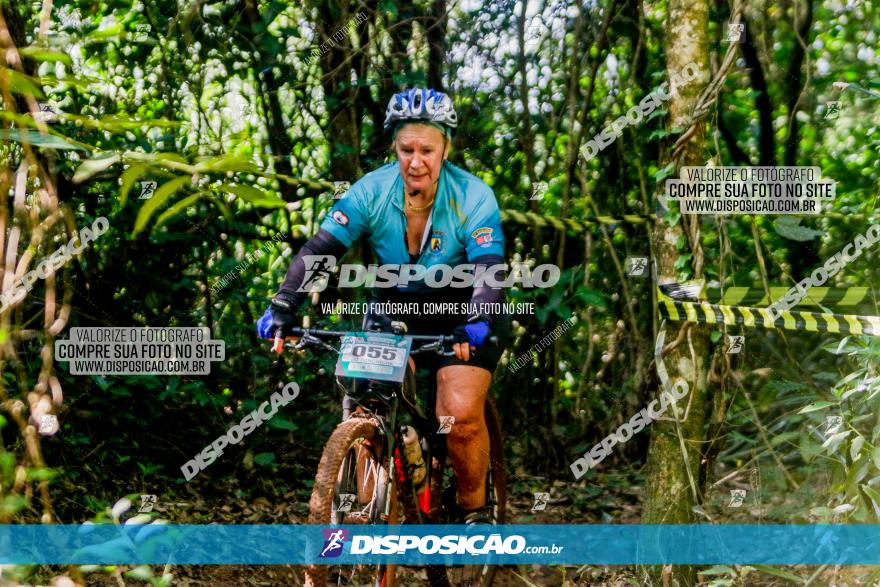 Circuito AEJ MTB 2023