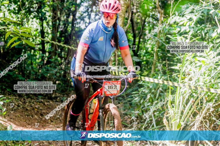 Circuito AEJ MTB 2023