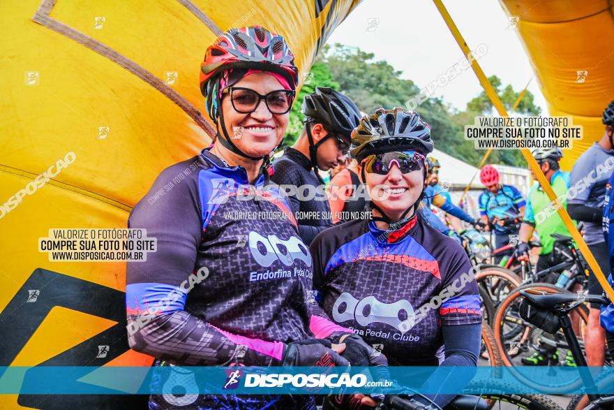 Circuito AEJ MTB 2023