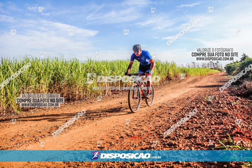 Circuito AEJ MTB 2023