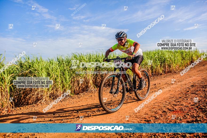 Circuito AEJ MTB 2023