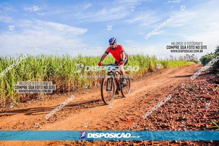 Circuito AEJ MTB 2023