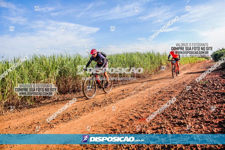 Circuito AEJ MTB 2023