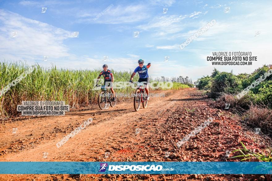 Circuito AEJ MTB 2023