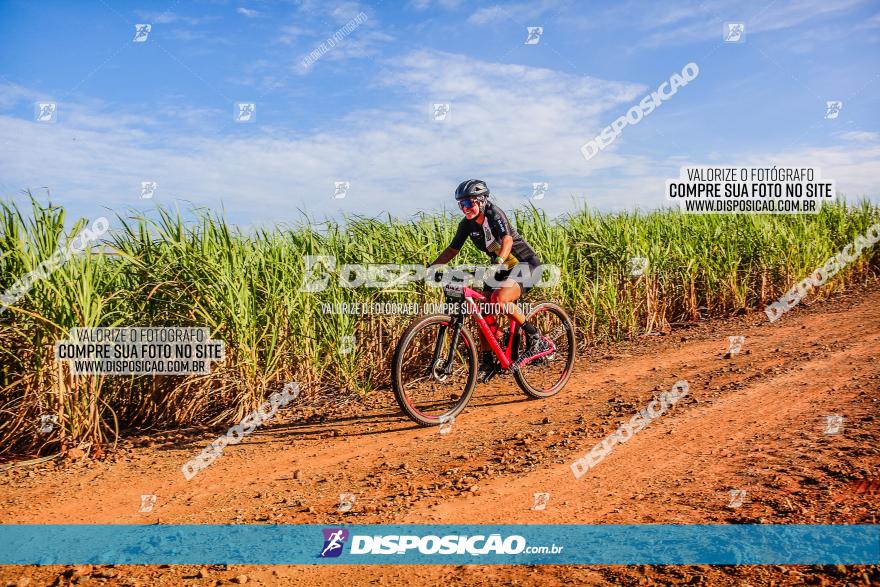 Circuito AEJ MTB 2023