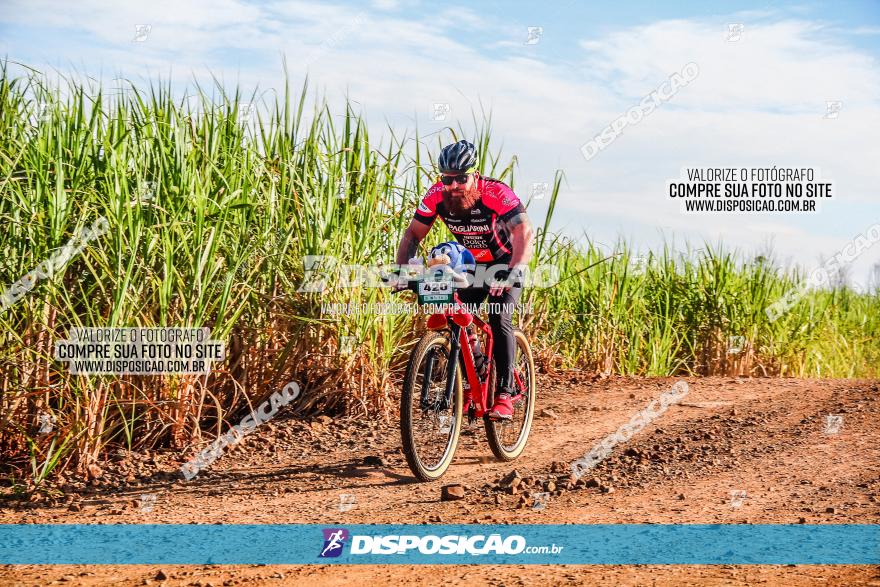 Circuito AEJ MTB 2023