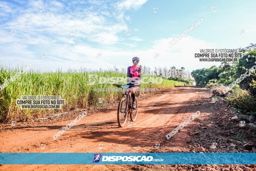 Circuito AEJ MTB 2023