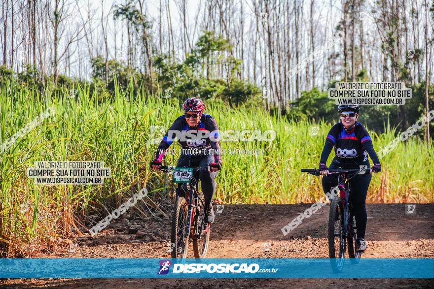 Circuito AEJ MTB 2023