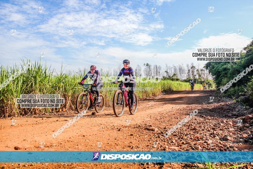 Circuito AEJ MTB 2023