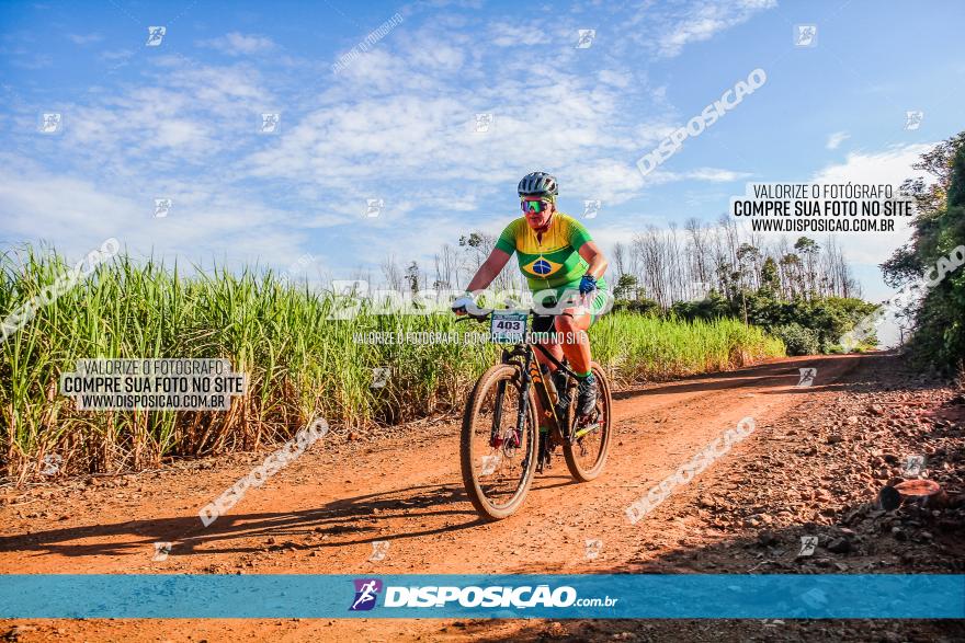 Circuito AEJ MTB 2023