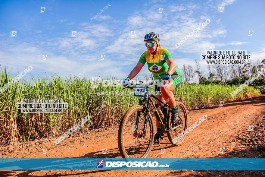 Circuito AEJ MTB 2023