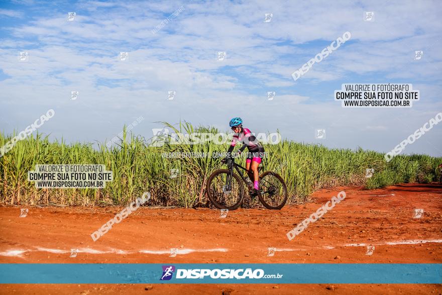 Circuito AEJ MTB 2023