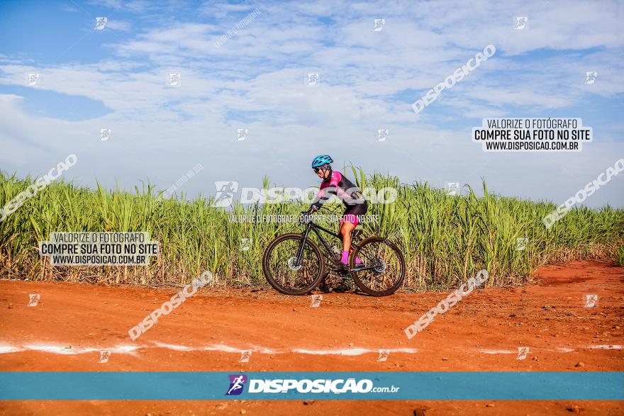 Circuito AEJ MTB 2023