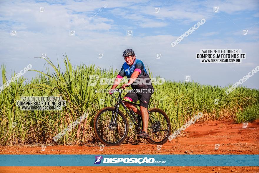 Circuito AEJ MTB 2023