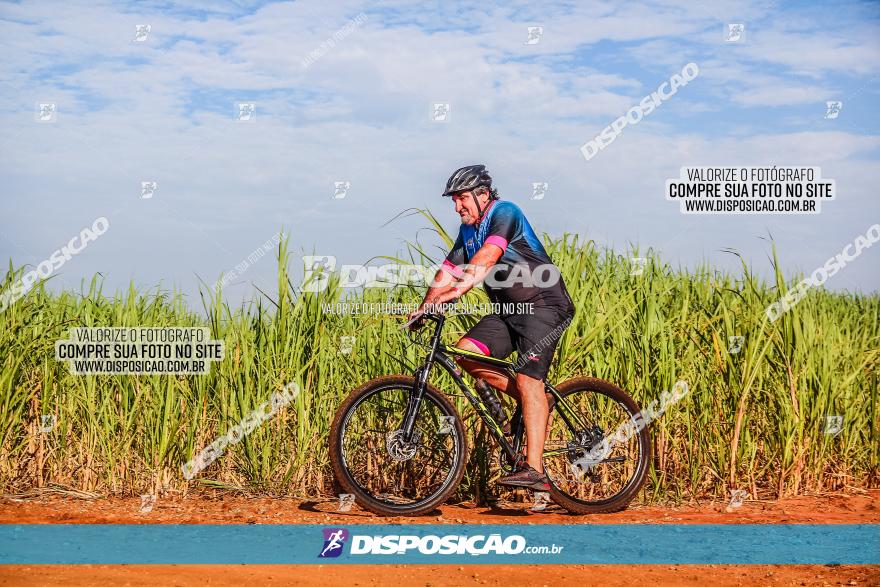 Circuito AEJ MTB 2023