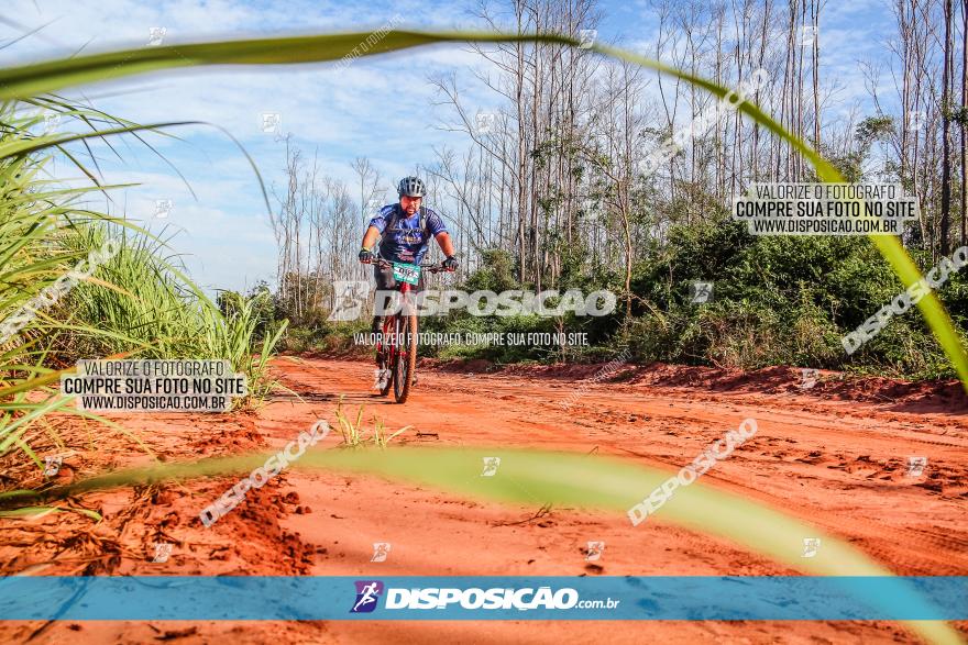 Circuito AEJ MTB 2023