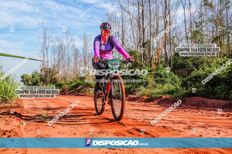 Circuito AEJ MTB 2023