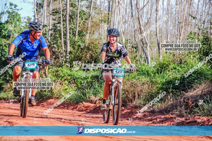 Circuito AEJ MTB 2023