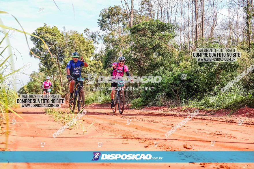 Circuito AEJ MTB 2023