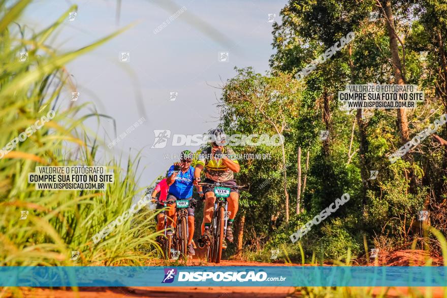 Circuito AEJ MTB 2023