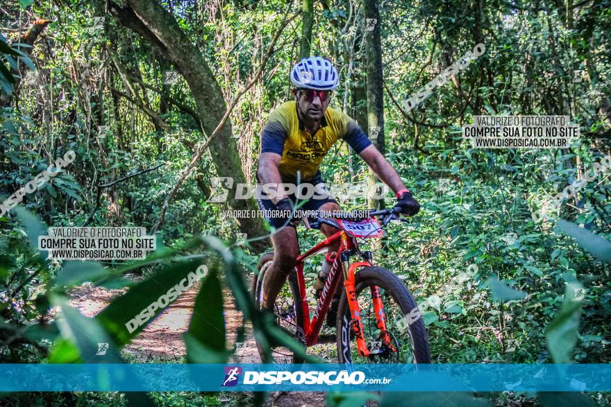 Circuito AEJ MTB 2023