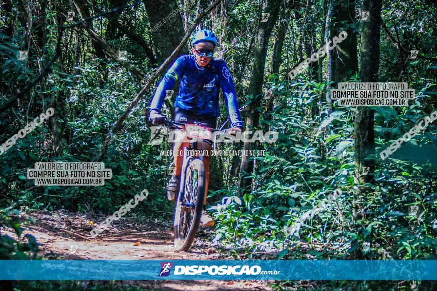 Circuito AEJ MTB 2023