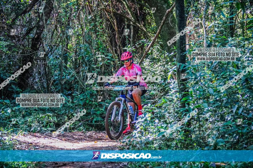 Circuito AEJ MTB 2023