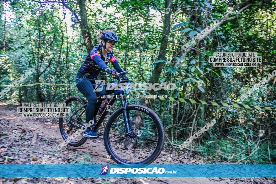 Circuito AEJ MTB 2023