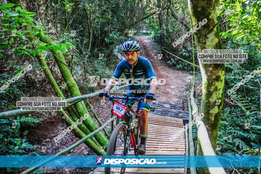 Circuito AEJ MTB 2023