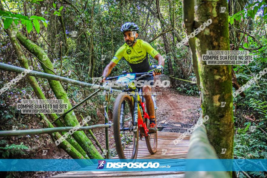 Circuito AEJ MTB 2023