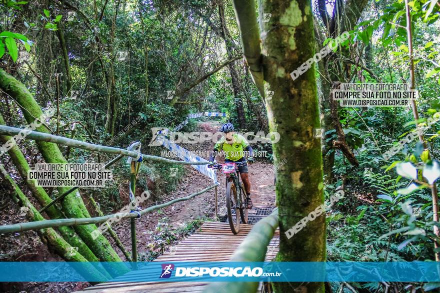 Circuito AEJ MTB 2023