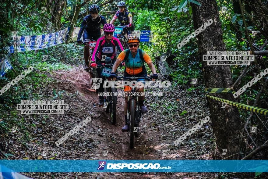 Circuito AEJ MTB 2023