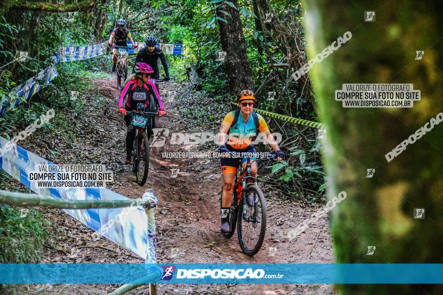 Circuito AEJ MTB 2023