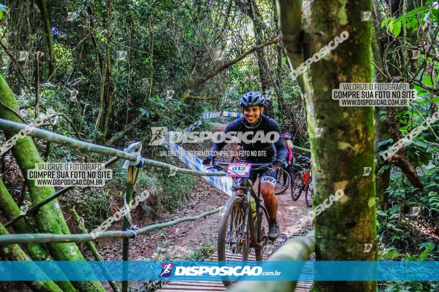 Circuito AEJ MTB 2023