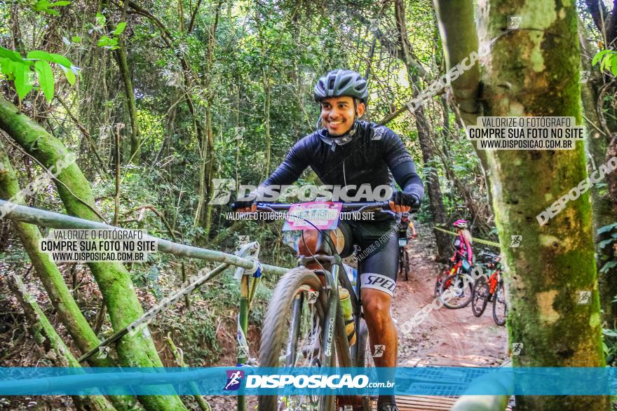 Circuito AEJ MTB 2023