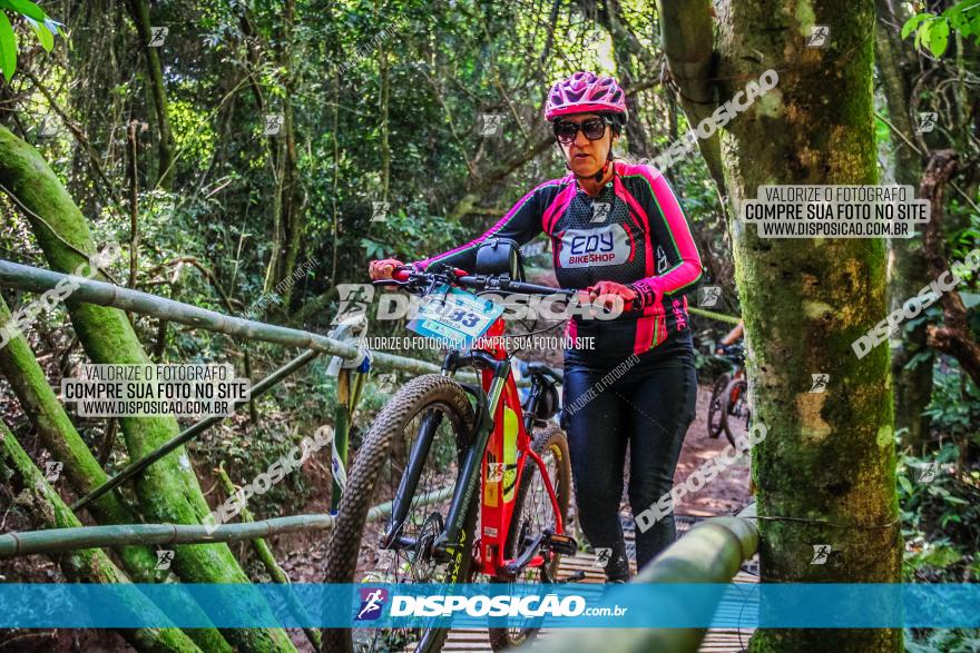 Circuito AEJ MTB 2023