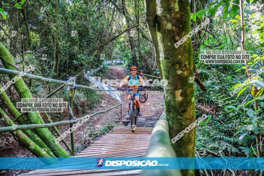 Circuito AEJ MTB 2023