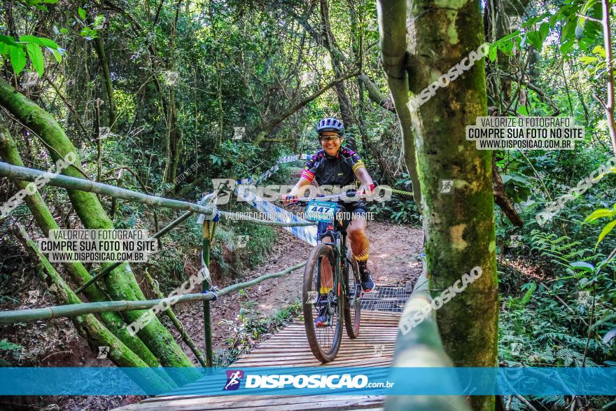 Circuito AEJ MTB 2023