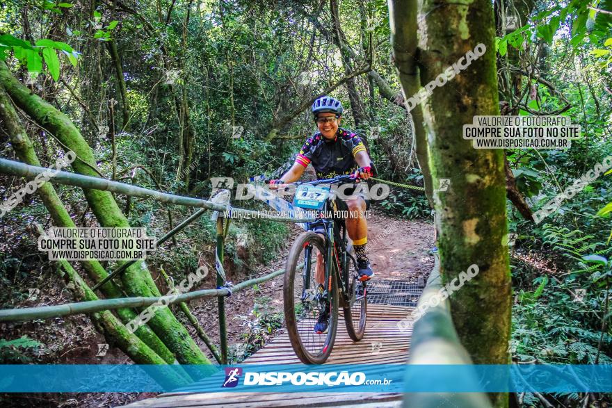 Circuito AEJ MTB 2023