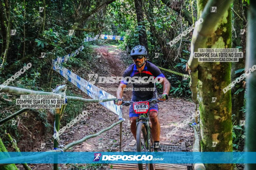 Circuito AEJ MTB 2023