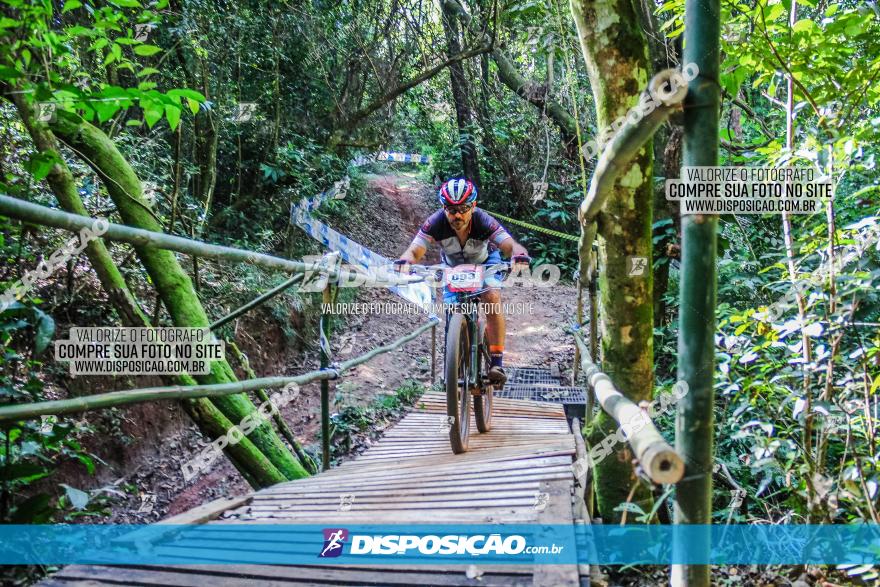 Circuito AEJ MTB 2023