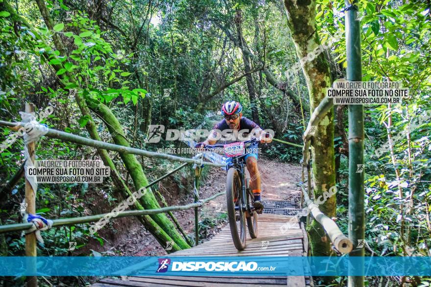 Circuito AEJ MTB 2023