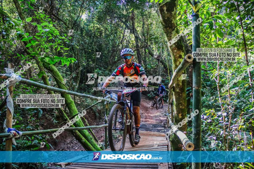 Circuito AEJ MTB 2023