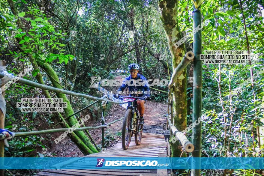 Circuito AEJ MTB 2023