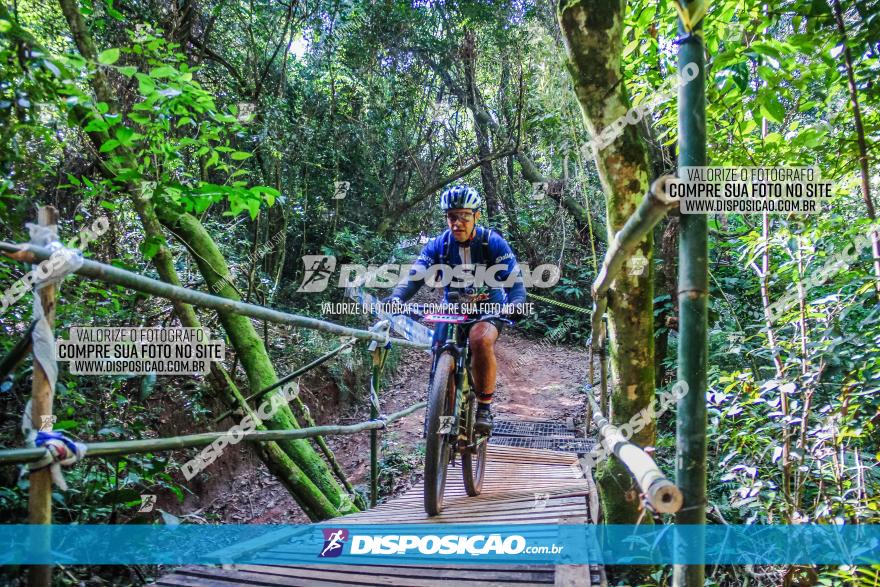 Circuito AEJ MTB 2023